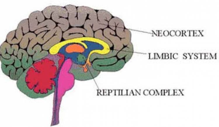 R-KOMPLEKS İLE KİTLELERİ YÖNETMEK